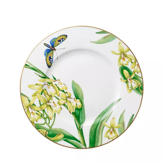 Amazonia - Anmut Salad Plate (Set of 6)